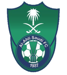 https://img.cnjnsb.com/img/football/team/f33846605b005f6b139e9c9f1d9feeef.png